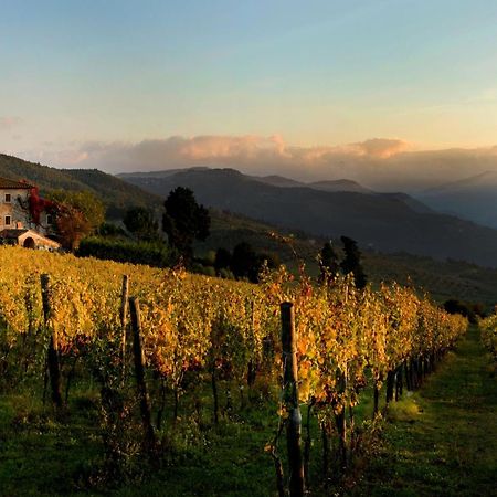 Agriturismo Fattoria Lavacchio Pontassieve Luaran gambar