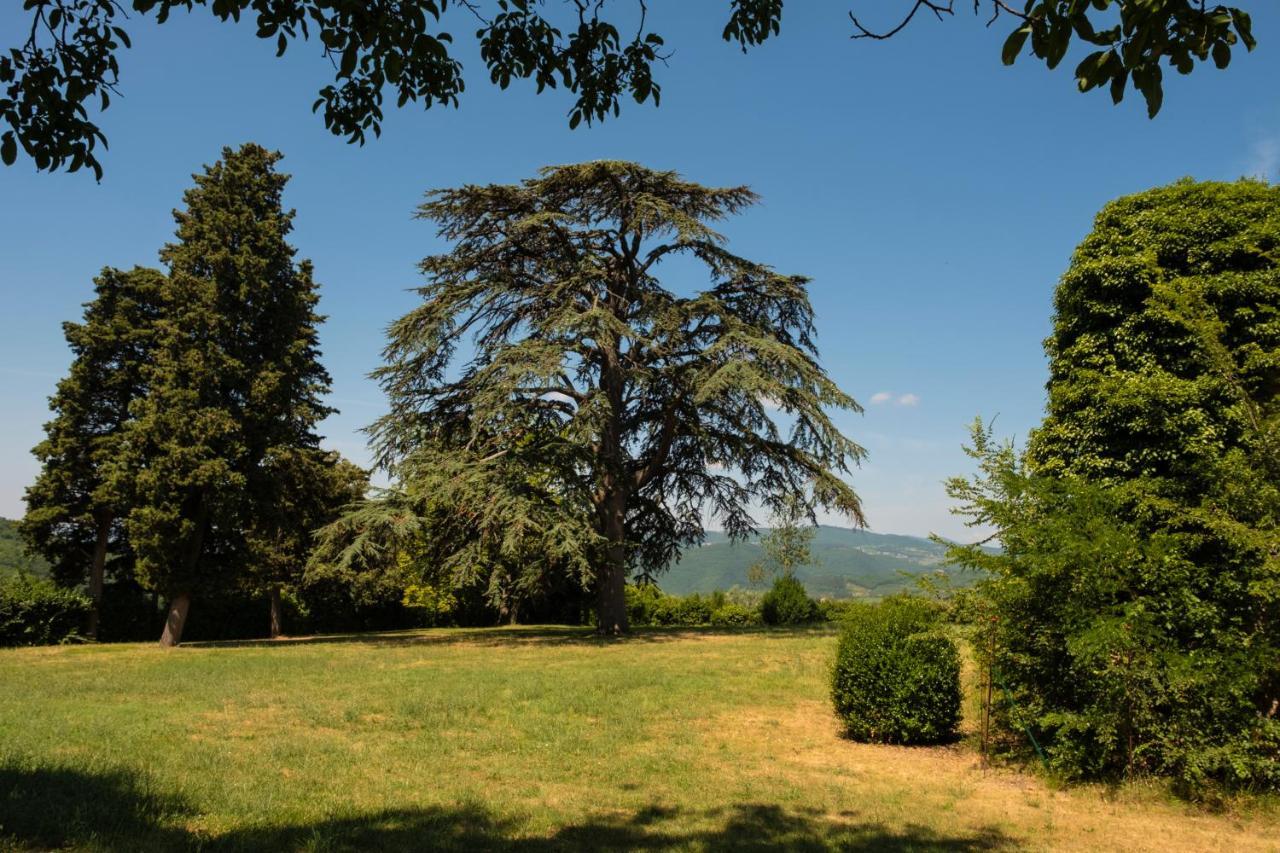Agriturismo Fattoria Lavacchio Pontassieve Luaran gambar