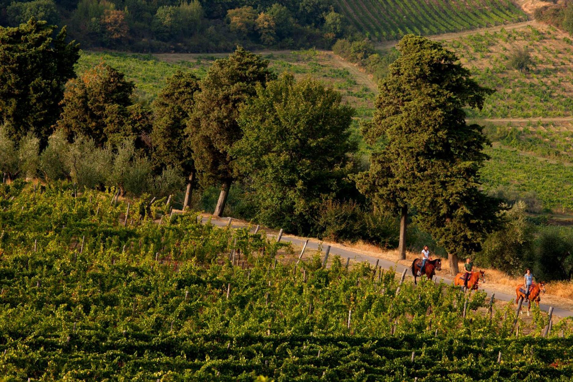 Agriturismo Fattoria Lavacchio Pontassieve Luaran gambar
