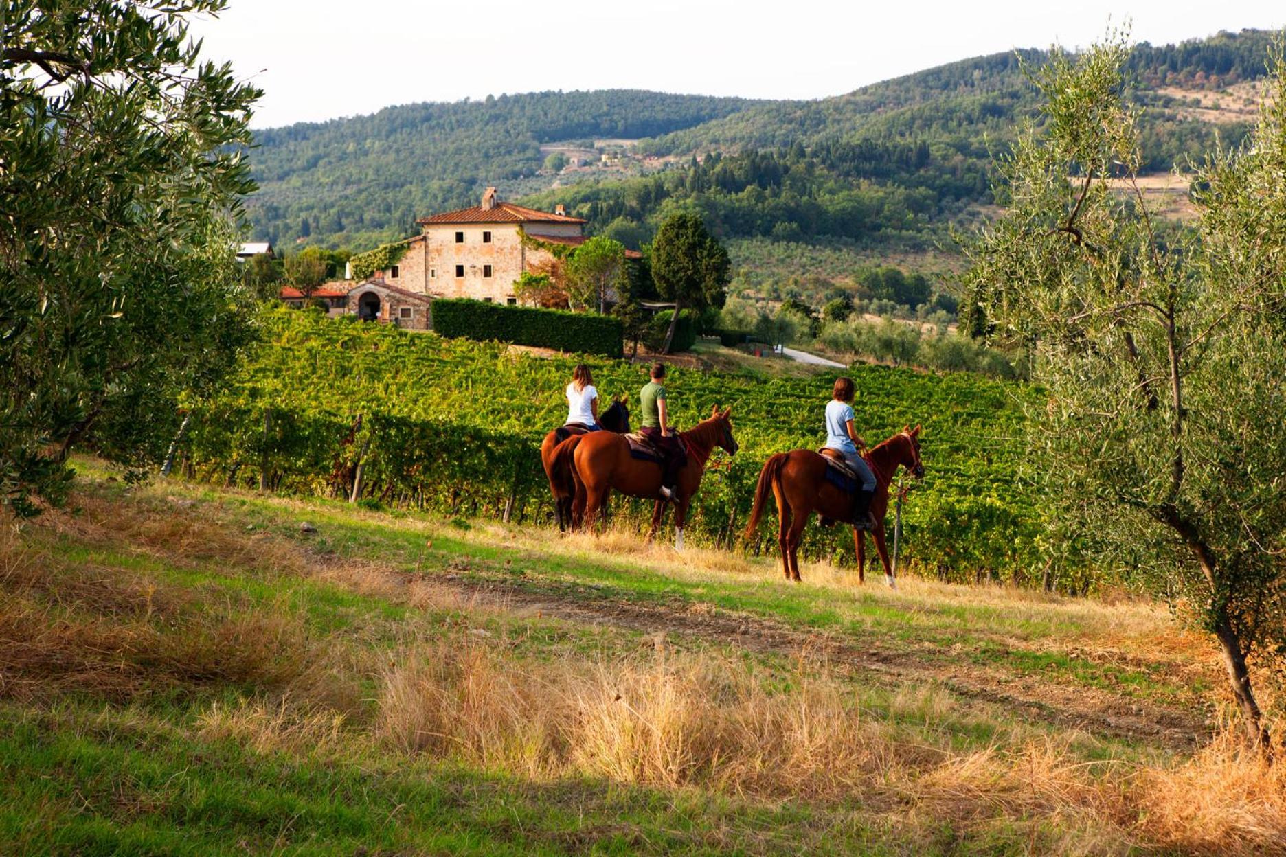 Agriturismo Fattoria Lavacchio Pontassieve Luaran gambar