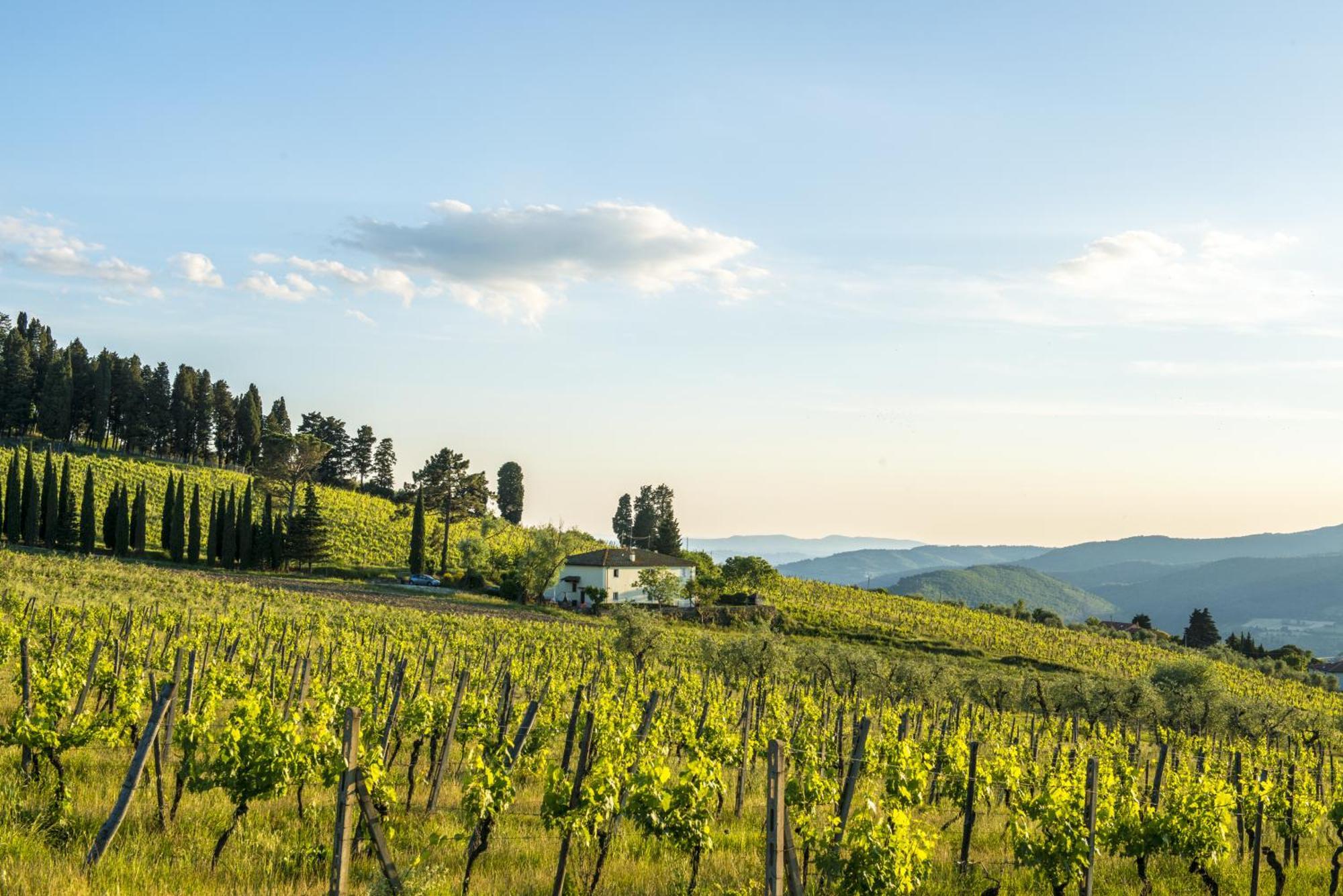 Agriturismo Fattoria Lavacchio Pontassieve Bilik gambar