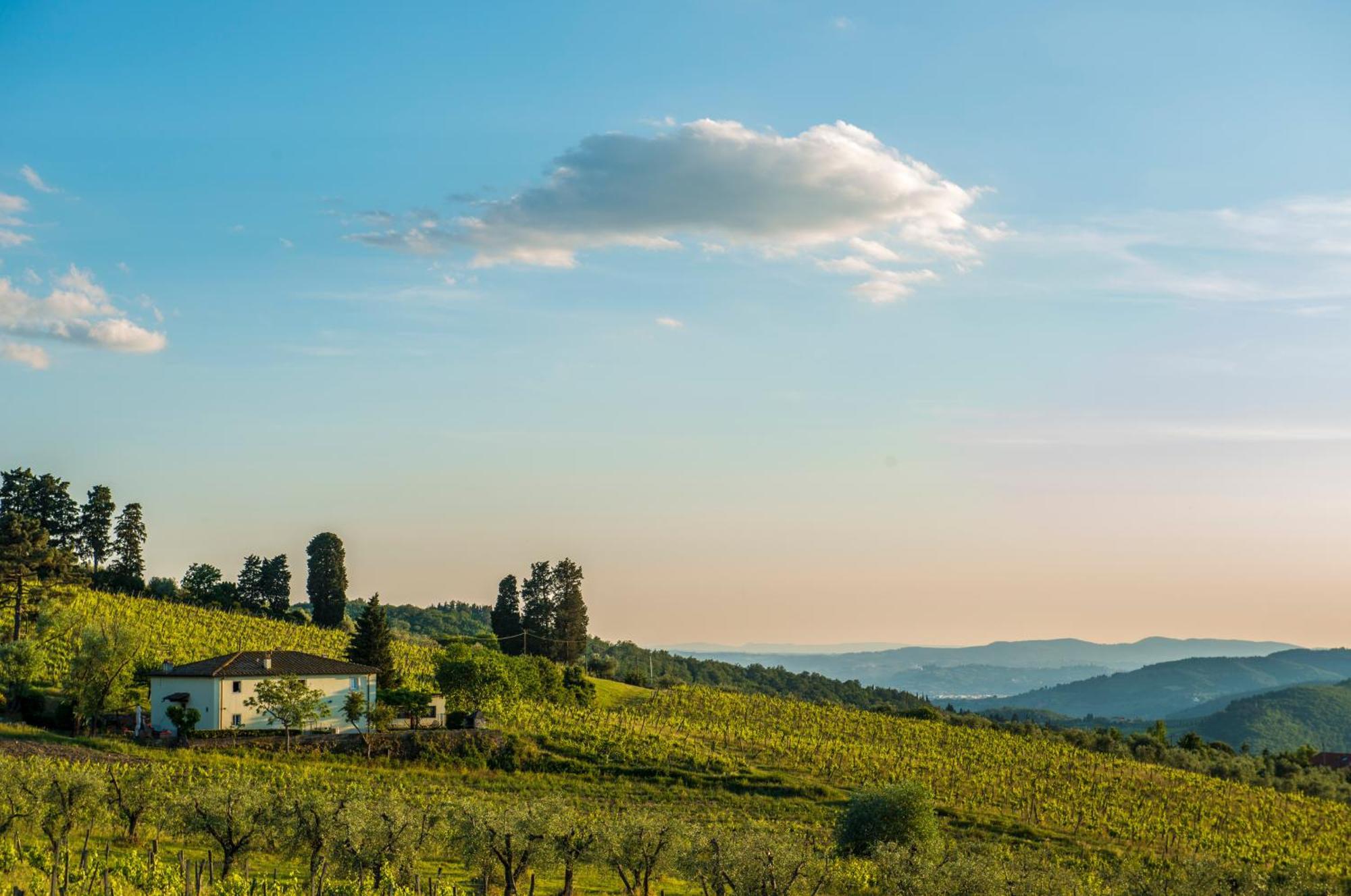 Agriturismo Fattoria Lavacchio Pontassieve Bilik gambar